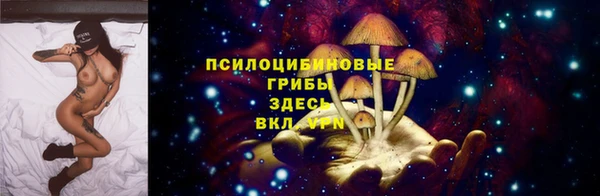 гидра Балахна