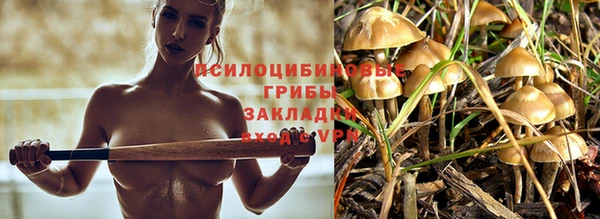 гидра Балахна