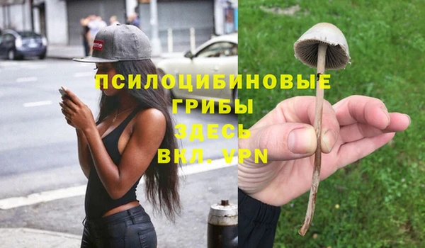 дурь Балабаново
