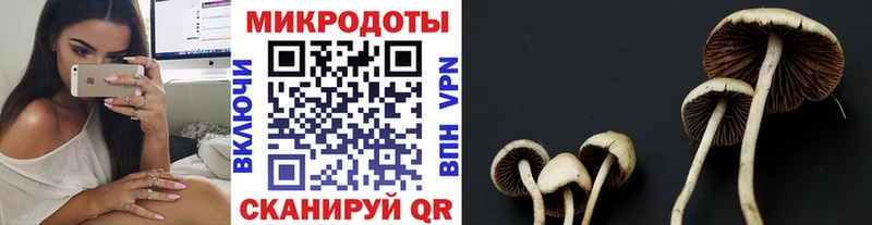 Псилоцибиновые грибы MAGIC MUSHROOMS  Бузулук 